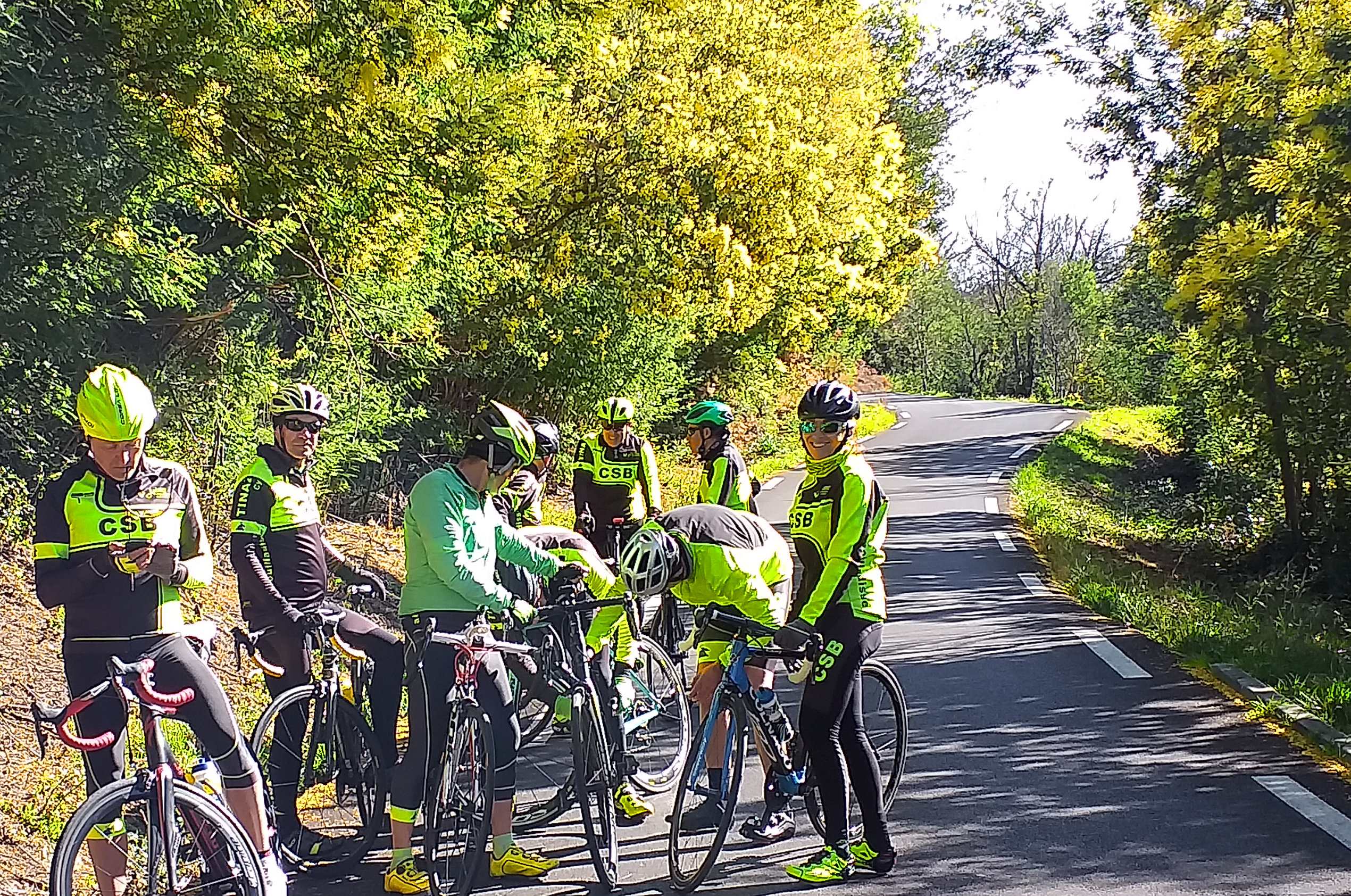 Sortie Jaune Mimosa 2020 après avoir franchi le col du Canadel.jpg