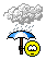 pluie :pluie