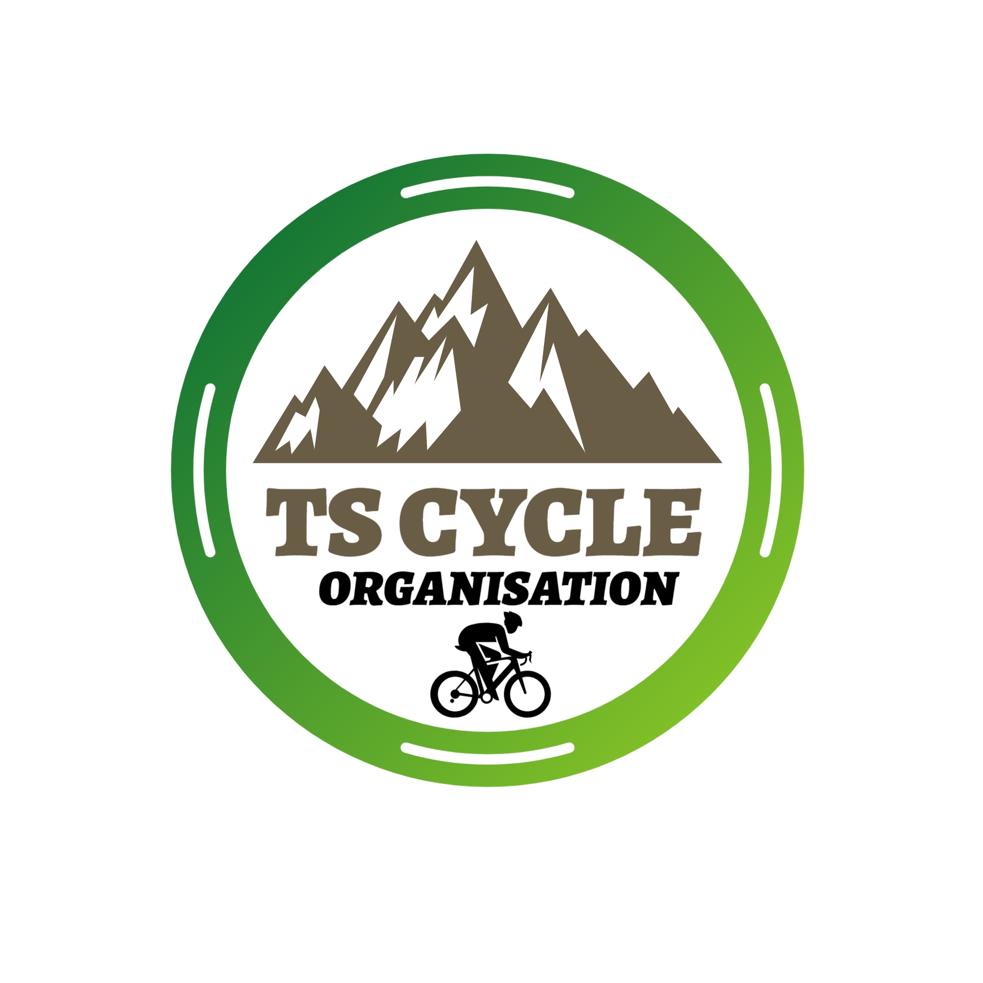 logo non transparent TS ORGANISATION